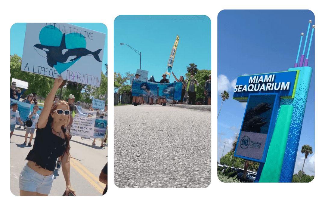 The End of an Era - Miami Seaquarium Closes
