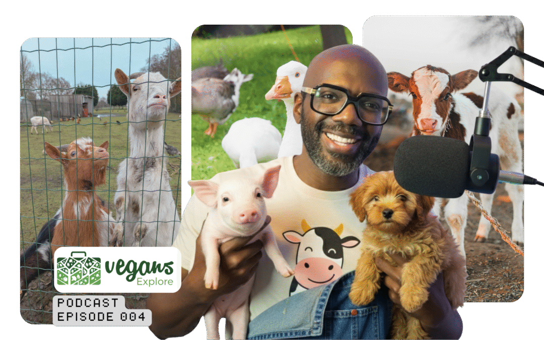 The Vegan Sanctuaries Transforming Lives in Florida