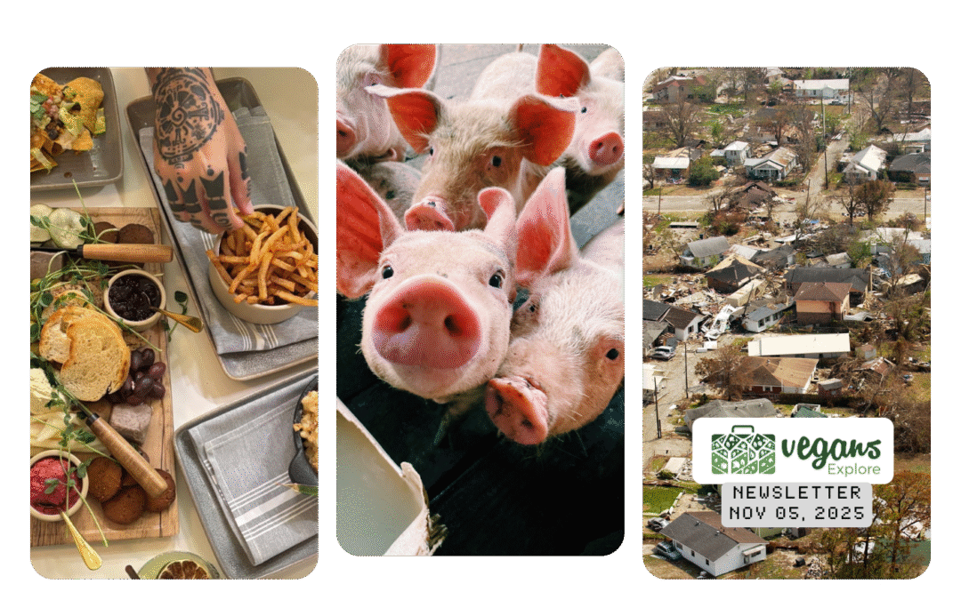 Vegans Explore South Florida Newsletter | November 05, 2025