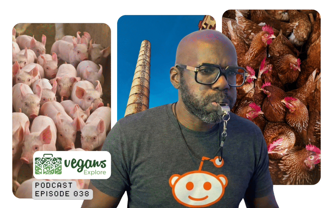Confessions of a Claimed Meat Industry Insider